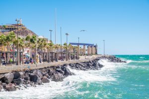 Sea washing up on shore with palm trees