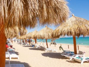 Beach chairs on the beach with Palapas under them 